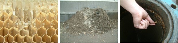 б�������ϻ�